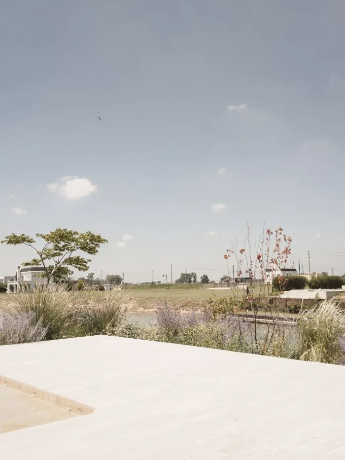 Estudio Abra terminado: perovskias, gramíneas y un árbol joven junto al solado de la pileta, con la laguna detrás