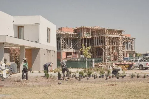 Equipo de Axial plantando arbustos y gramíneas frente a la casa, con la obra vecina en construcción