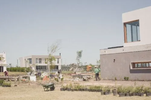 Plantación en curso junto a la casa, con carretilla y plantas listas para implantar