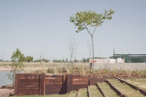 Contención de madera con gramíneas recién implantadas junto a la laguna