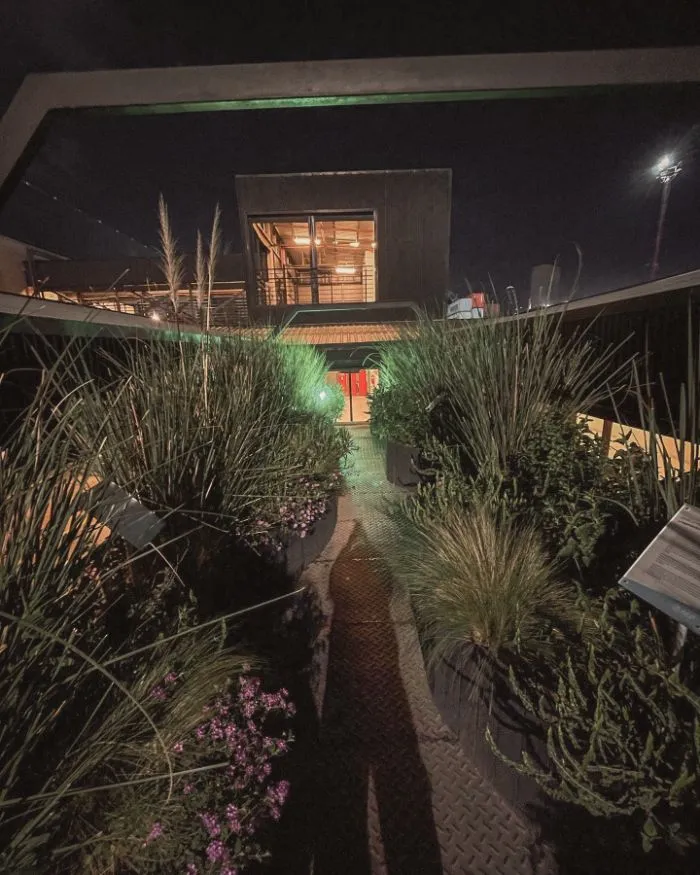 Museo AGP de noche: recorrido entre canteros de gramíneas y verbenas nativas sobre el vagón, hacia el edificio iluminado