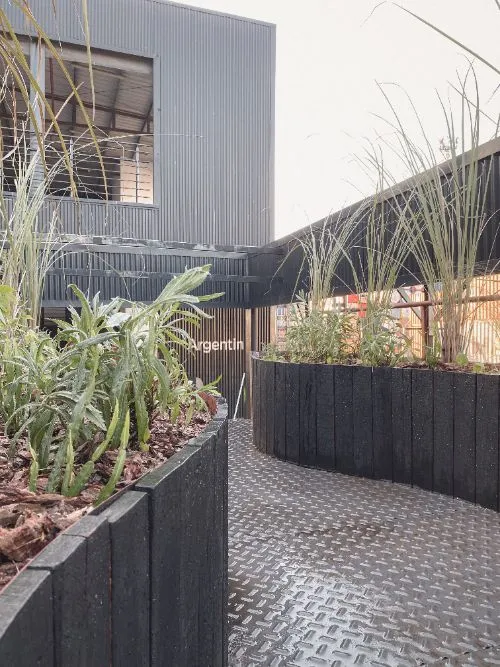Borde curvo de madera negra con plantas nativas recién implantadas y mulch