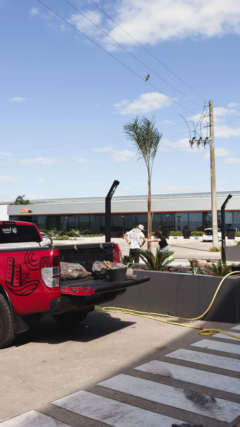 El equipo de Axial plantando una palmera en un cantero arquitectónico, con la camioneta del estudio en primer plano