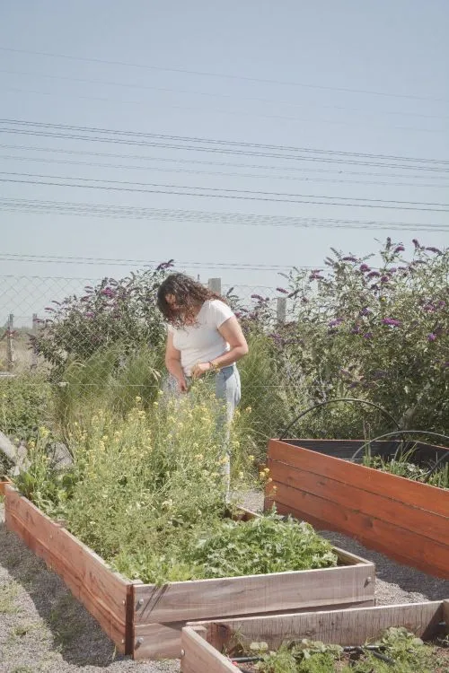 Lu recorriendo la huerta en canteros de madera, con budlejas en flor detrás del alambrado