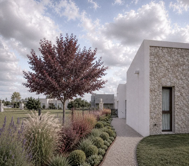 Imagen de proyecto: cantero de gramíneas y lavandas con un árbol de follaje púrpura junto a la casa