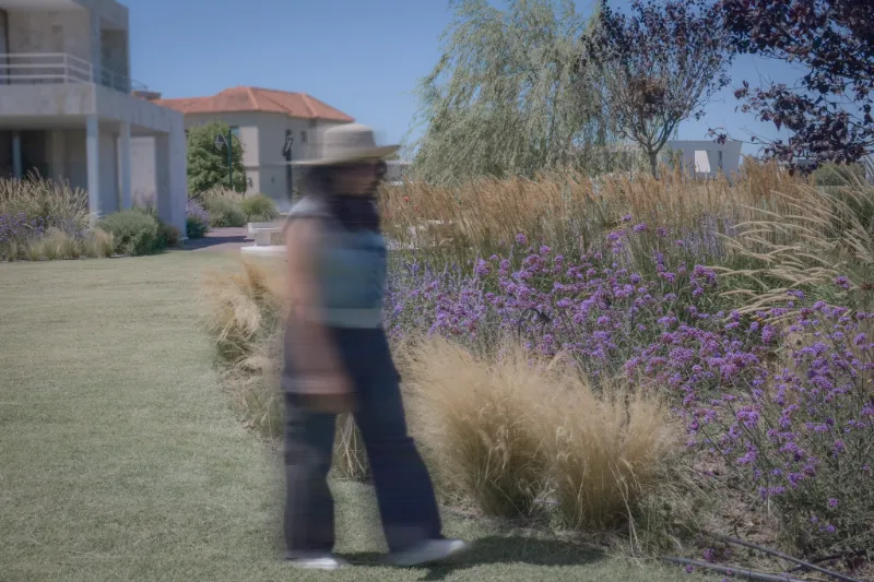 Recorrido entre gramíneas y verbenas nativas en un proyecto residencial