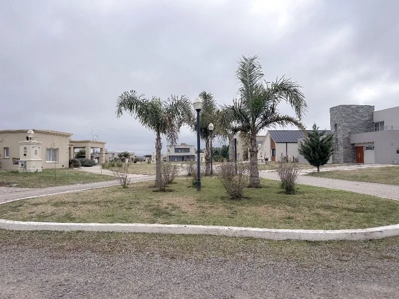 Lagos de San Eliseo en 2024: isla central con palmeras y arbustos recién plantados